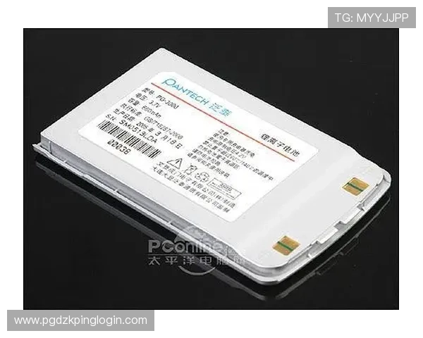 PG官网官方网站下载页面导航，快速找到所需软件版本和相关资源