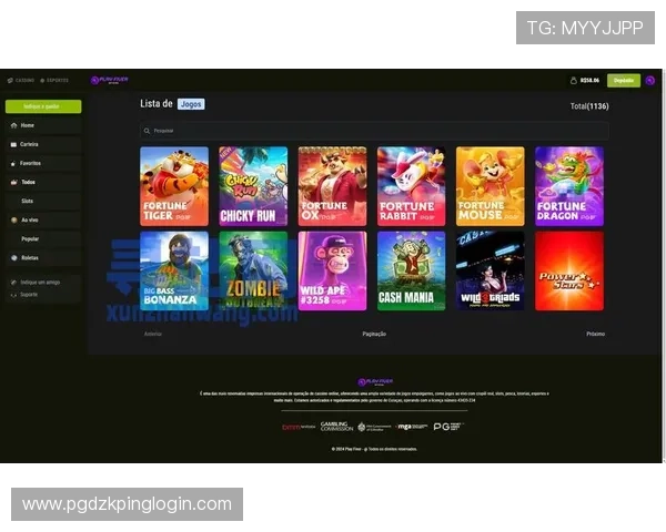 PG电子娱乐平台下载流程详解，帮助新手快速上手畅玩丰富游戏内容